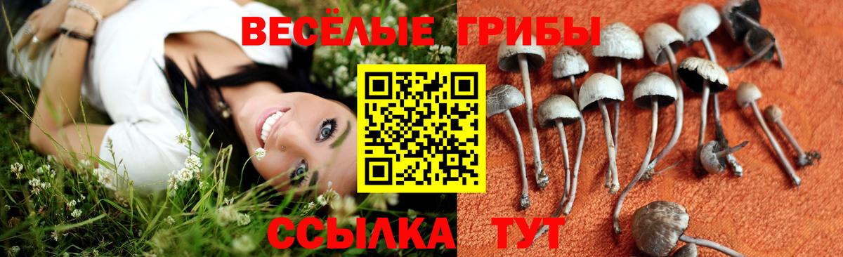 Алейск  Псилоцибиновые грибы Cubensis  Галлюциногенные грибы MAGIC MUSHROOMS  Вход с VPN 